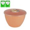 1.5 Pint Peach 3 pack with lids