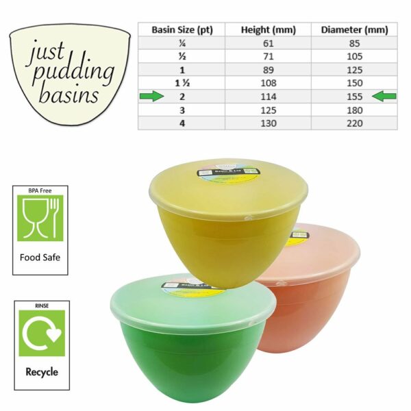 2 Pint Spring Collection Pudding Basins with Lids size info